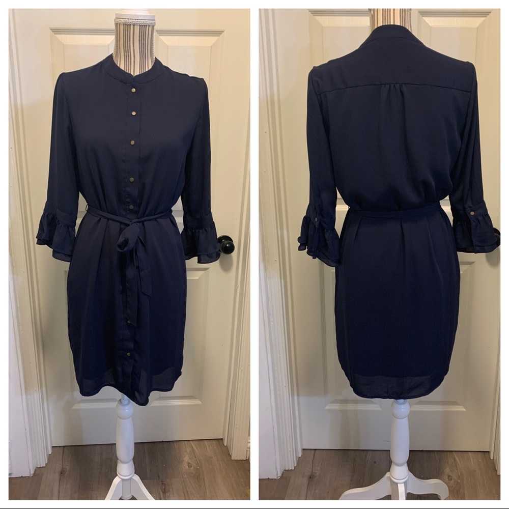 Banana Republic Navy Blue button Dress